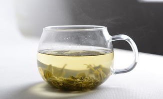 喝什么茶对身体好