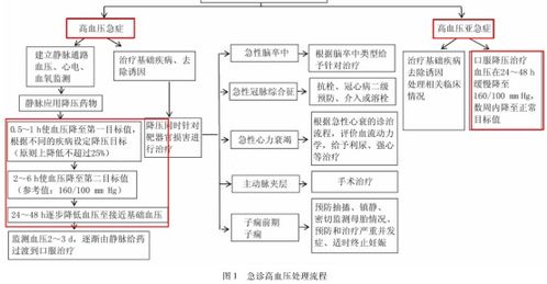 降血压快速办法
