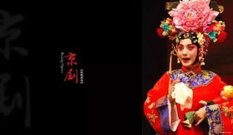 国粹是什么意思网络用语