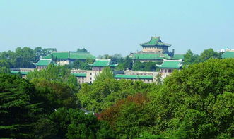 武汉大学属于武汉哪个区