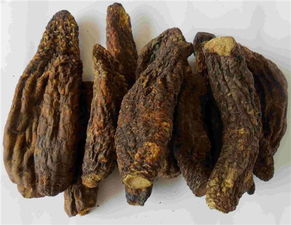 苁蓉的吃法
