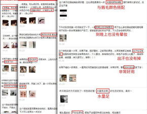 有赞是什么平台

