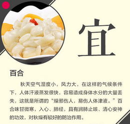 秋葵不能和什么一起吃,四大寒凉性食物要避免同食