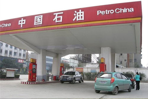 上海中石油加油站和中石化加油站哪个多