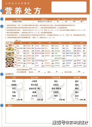 人体成分
