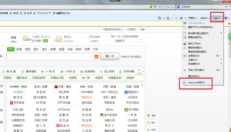 新浪首页打不开.换任何浏览器都一样.用firefox开新浪地址栏是空白网页