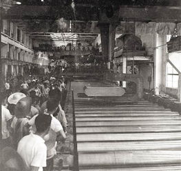 1970年是属什么的