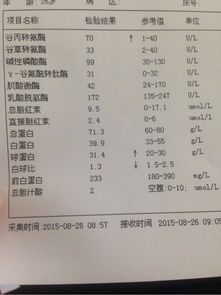 谷丙转氨酶过高的话,会给身体带来什么影响?