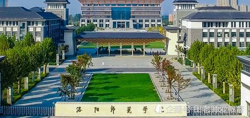 洛阳有哪些大学
