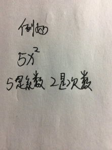系数是什么,举个例子
