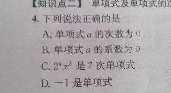 系数是什么意思举例
