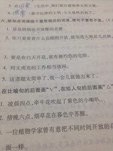 悠闲近义词
