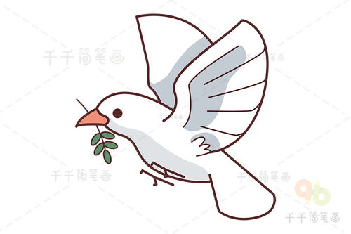 和平鸽怎么画