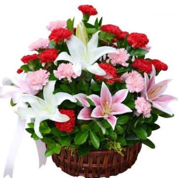 房子乔迁送什么鲜花好