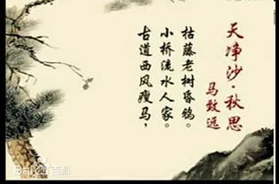 写秋思的诗句
