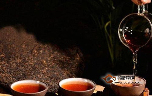 什么茶好喝又对身体好
