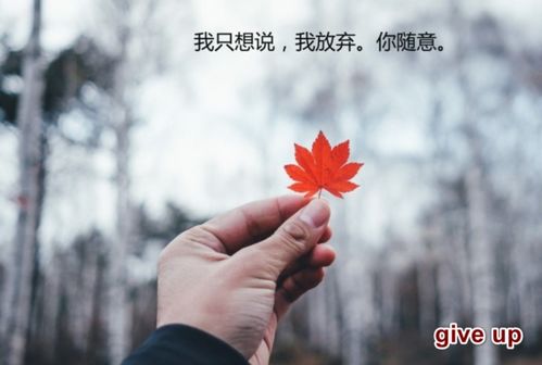 give是什么意思英语