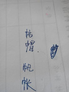 “巾”加什么偏旁能组成字?