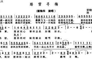 求踏雪寻梅完整歌词(伴我书声琴韵共度好时光那个踏雪寻梅)