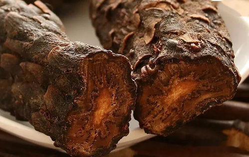 刚挖的肉苁蓉怎么吃?