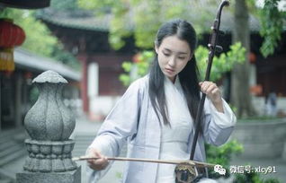 赤诚是什么意思
