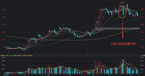 放量下跌是什么意思
