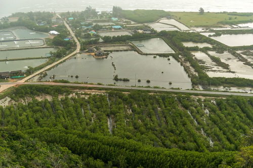 去昆明池坐几路车

