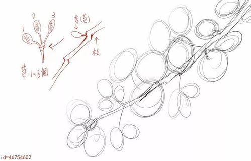 儿童画樱花的画法