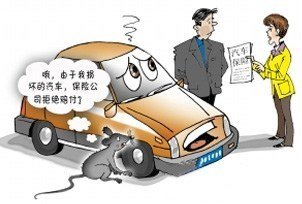 机动车损失险有必要买吗