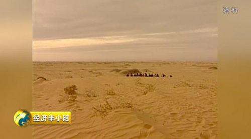 中国“沙漠”走红国外,外国驴友参观之后为何脸色凝重,难以置信?_百度知