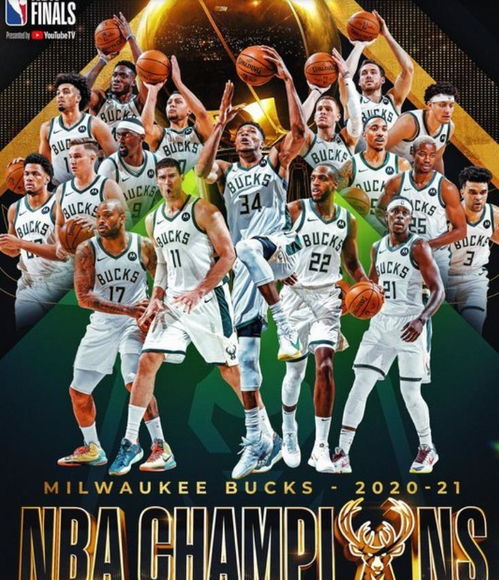 历届nba总冠军球队
