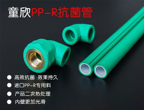 家用水管哪个牌子好

