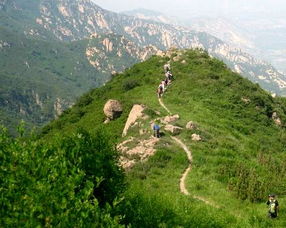 阳台山
