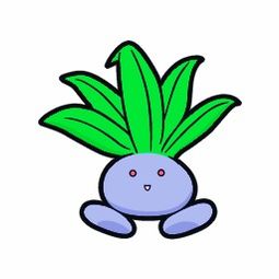 走路草
