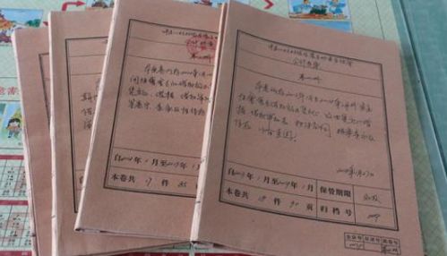 家庭出身一般怎么填写
