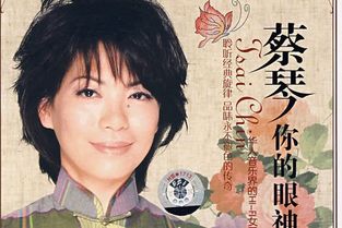 你的眼神歌词
