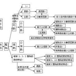 自然数概念
