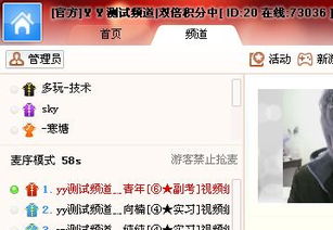 YY共有几种马甲、每个马甲都有什么权利?