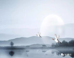 清时有味是无能,闲爱孤云静爱僧。 浮云柳絮无根蒂,天阔