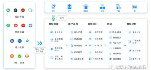 cdp是什么意思