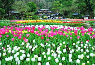 长泰花仙谷景区在哪里