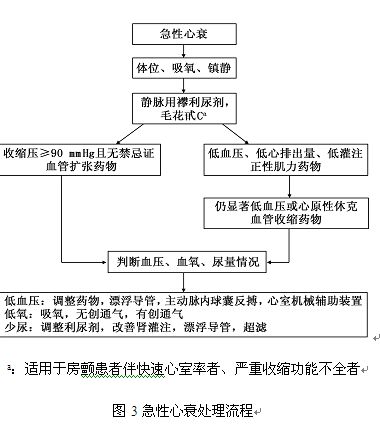 心力衰竭名词解释
