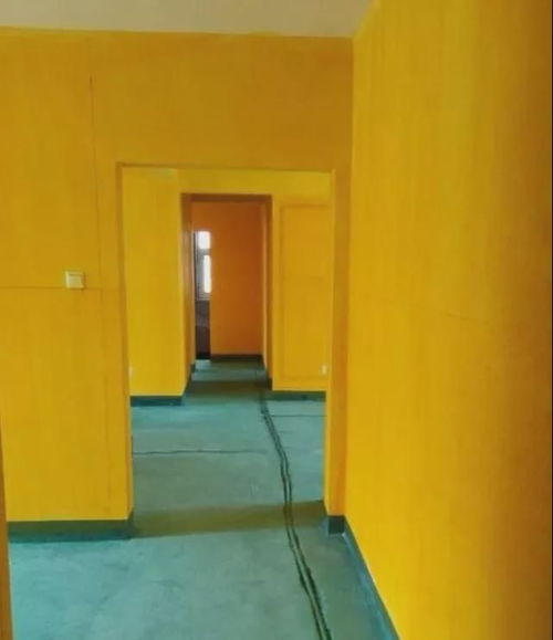 墙面界面漆
