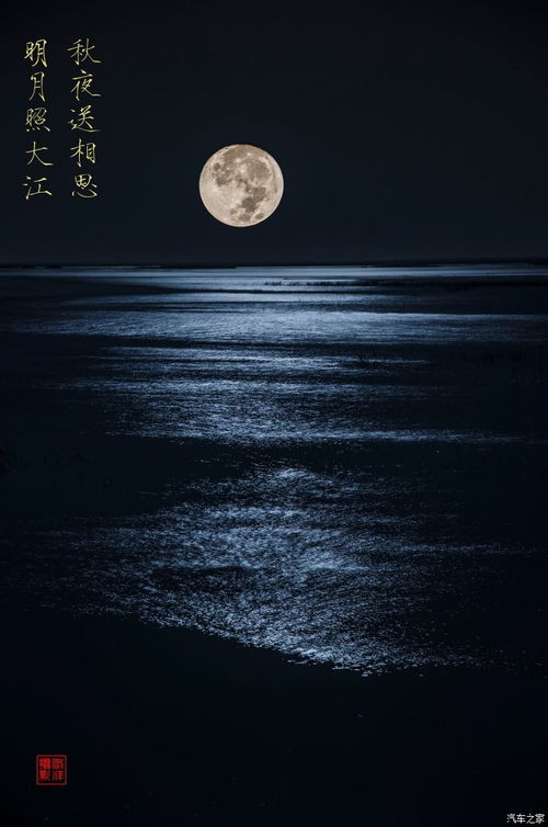 但愿人长久,千里共婵娟出自苏轼的哪一首诗