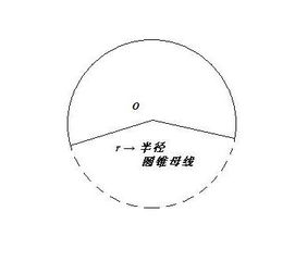 圆锥的母线是那条线?