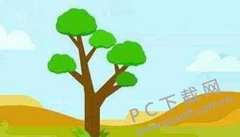 蚂蚁森林有什么用