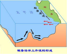 秘鲁渔场形成原因