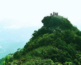 绵阳罗浮山
