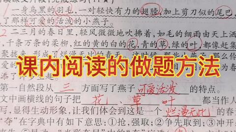 总分结构的句子
