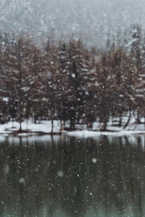 五月的雪 歌词